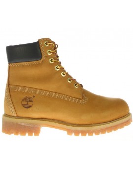 Timberland  Boots da uomo  Wheat